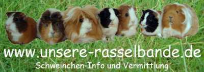 Unsere Rasselbande