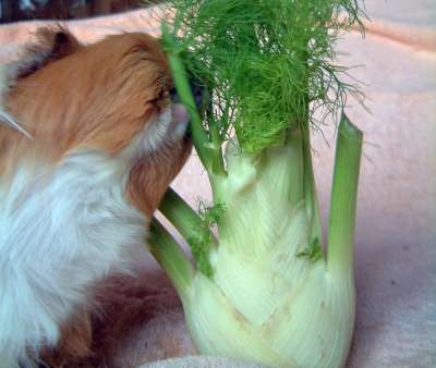 ...mmmh...dieses saftige Grn, da kann man nicht einfach neben sitzen...