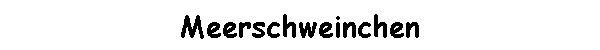 Meerschweinchen